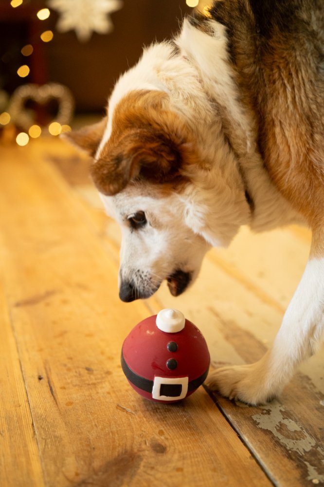 Claus the Latex Christmas Bauble Dog Toy by Petface - The Bark Side