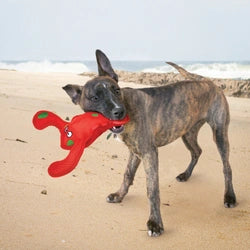KONG Belly Flops Lobster Dog Toy