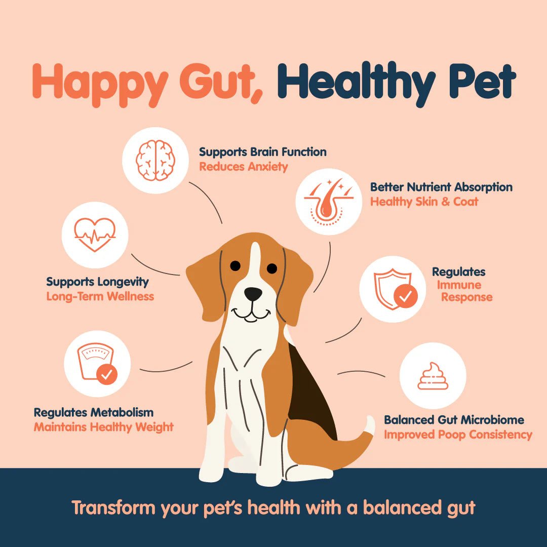 Frozzys Happy Gut Yogurt Squeeze Pouch For Dogs - Original - The Bark Side