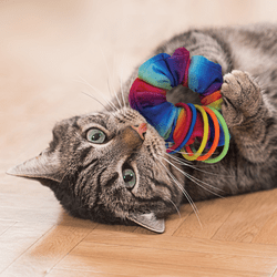 KONG Cat Active Scrunchie Cat Toy - The Bark Side