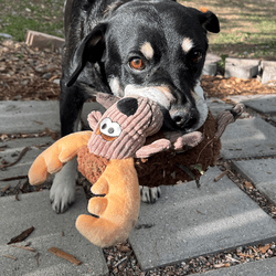 KONG Sherps Floofs Moose Dog Toy - The Bark Side