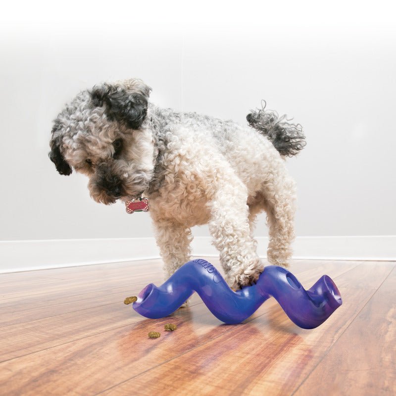 KONG Treat Spiral Stick - The Bark Side