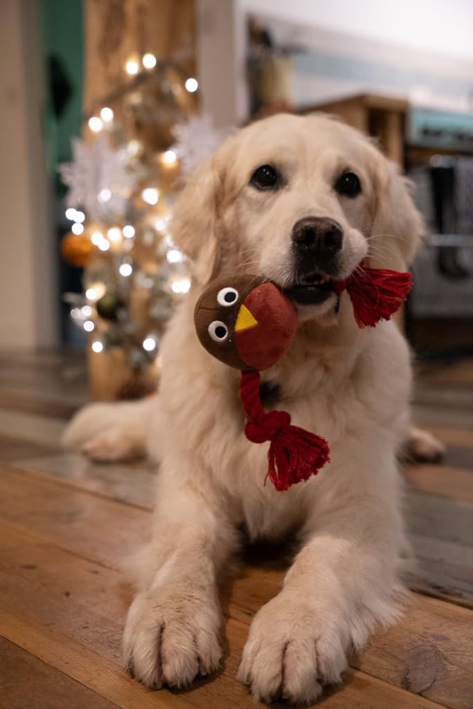 Ryan Robin With Rope Plush Christmas Dog Toy by Petface