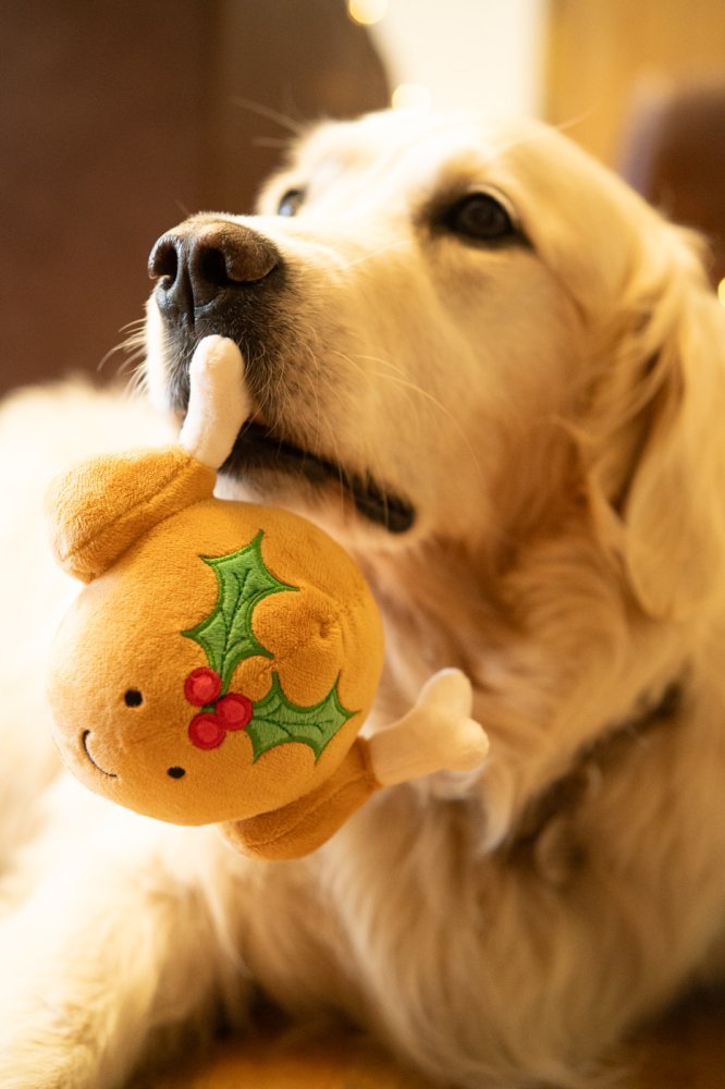 Tasha Turkey Plush Christmas Dog Toy by Petface - The Bark Side