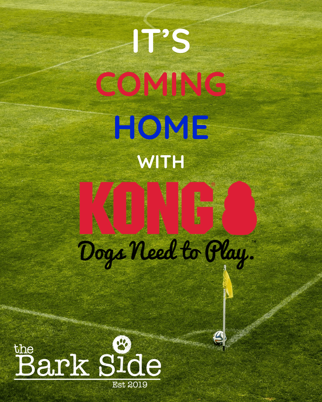 World Cup 2026 Dog Toys - The Bark Side