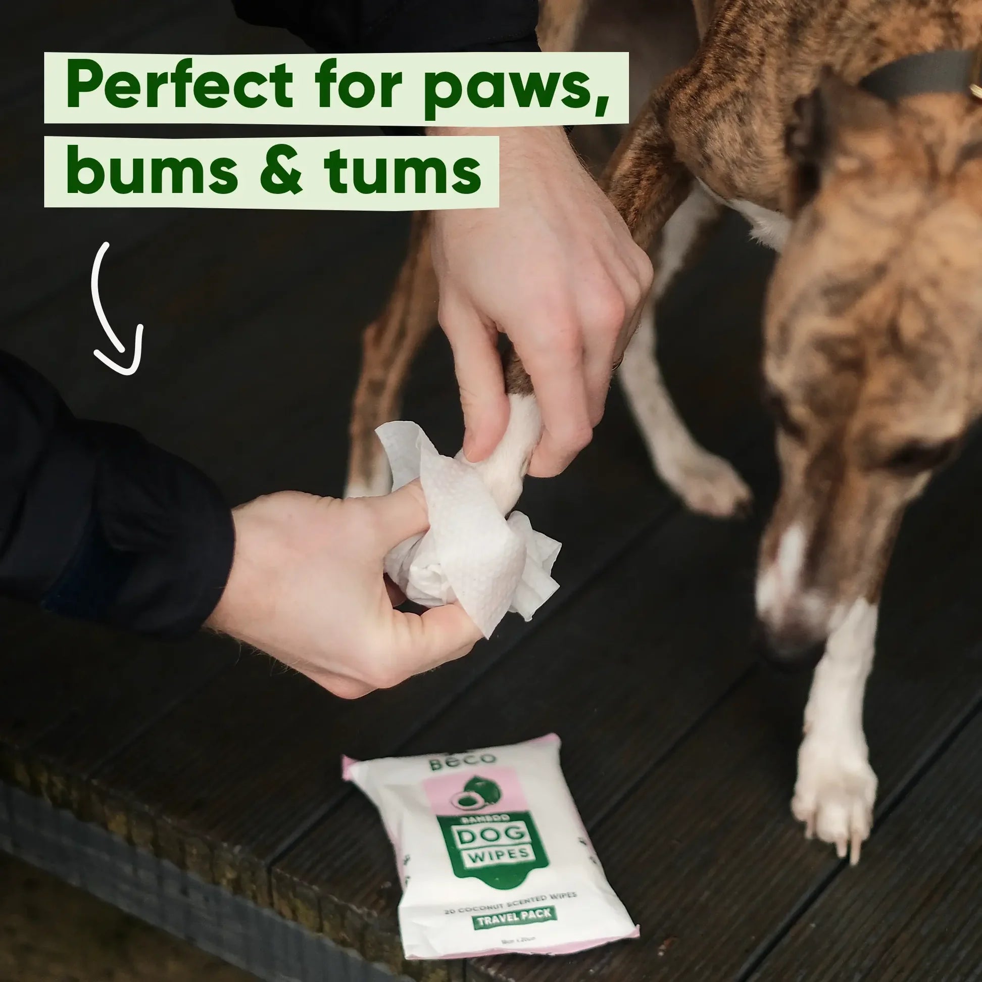 Beco Coconut Scented Bamboo Dog Wipes - The Bark Side