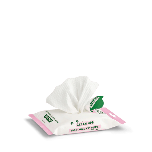 Beco Coconut Scented Bamboo Dog Wipes - The Bark Side