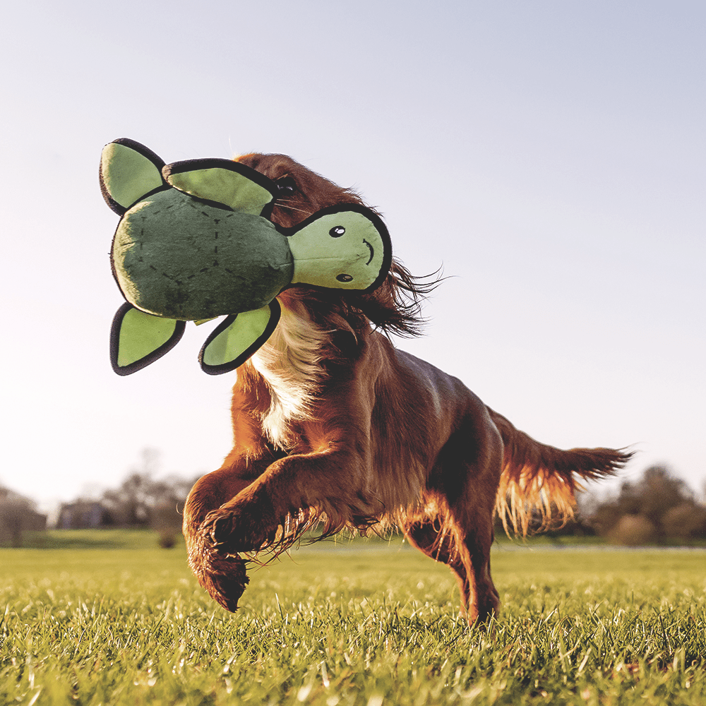 Beco Rough & Tough Recycled Dog Toy - Turtle - The Bark Side