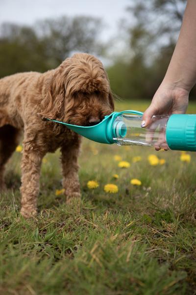 Biosafe 2 in 1 Large Travel Bottle by Rosewood - The Bark Side