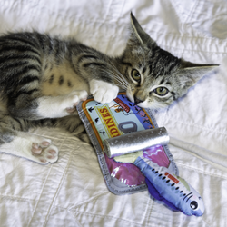 KONG Cat Toy Crackles Sardine