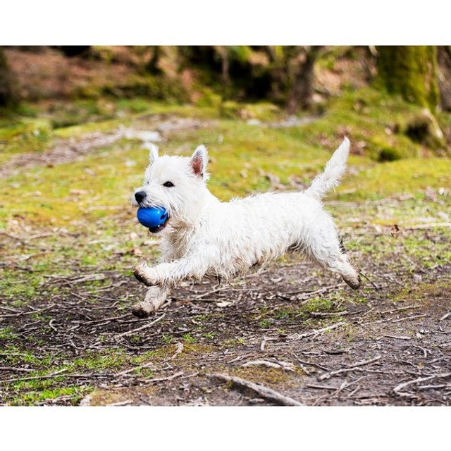 Chuckit! Super Crunch Ball 2pk Medium - The Bark Side