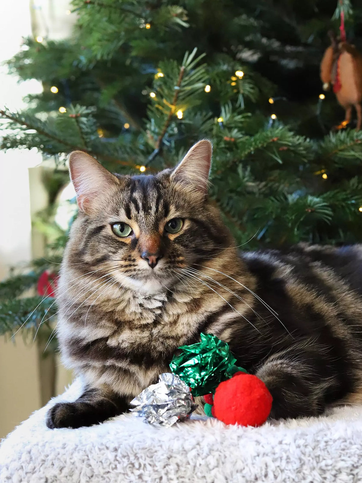 Christmas Cat Stocking Toy With 5 Balls
