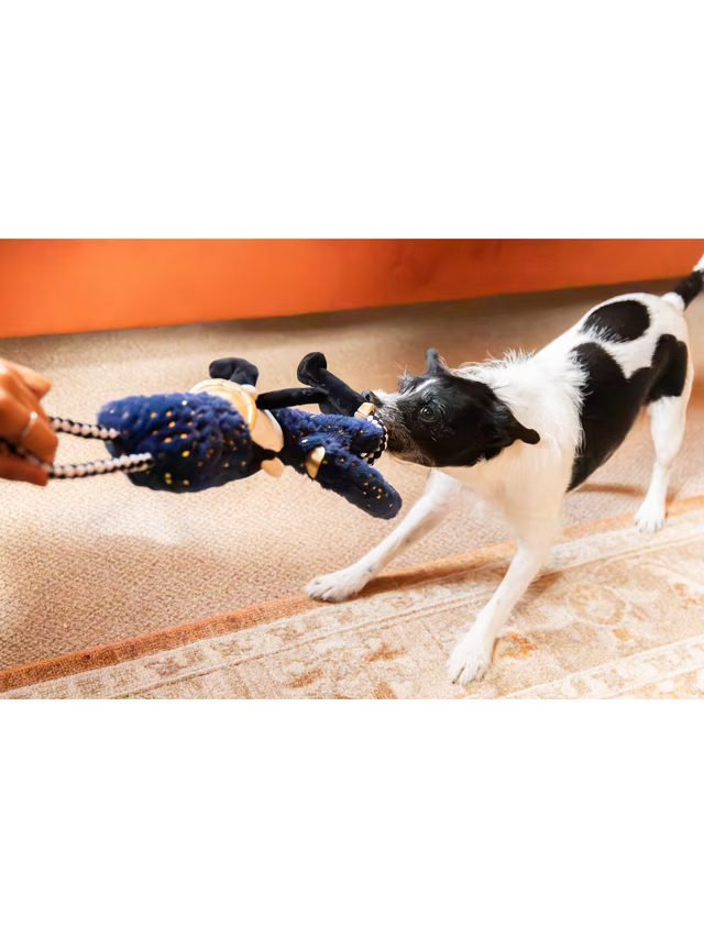 Nermal Nutcracker Christmas Dog Toy