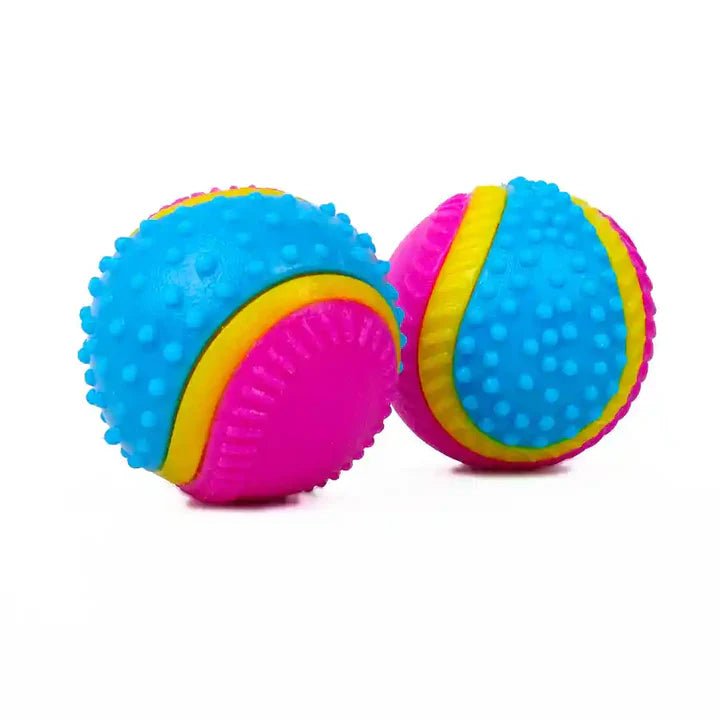 Five Senses Rubber Dog Toy For All Ages - The Bark Side