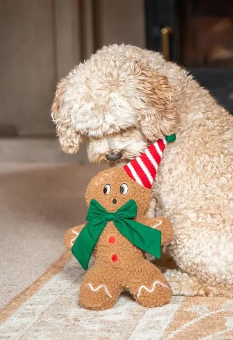 George Gingerbread Man Christmas Dog Toy - The Bark Side