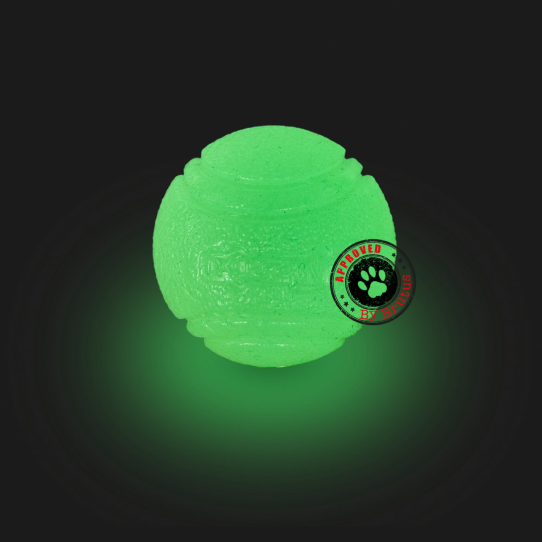 Petface Glow In The Dark Ball For Dogs