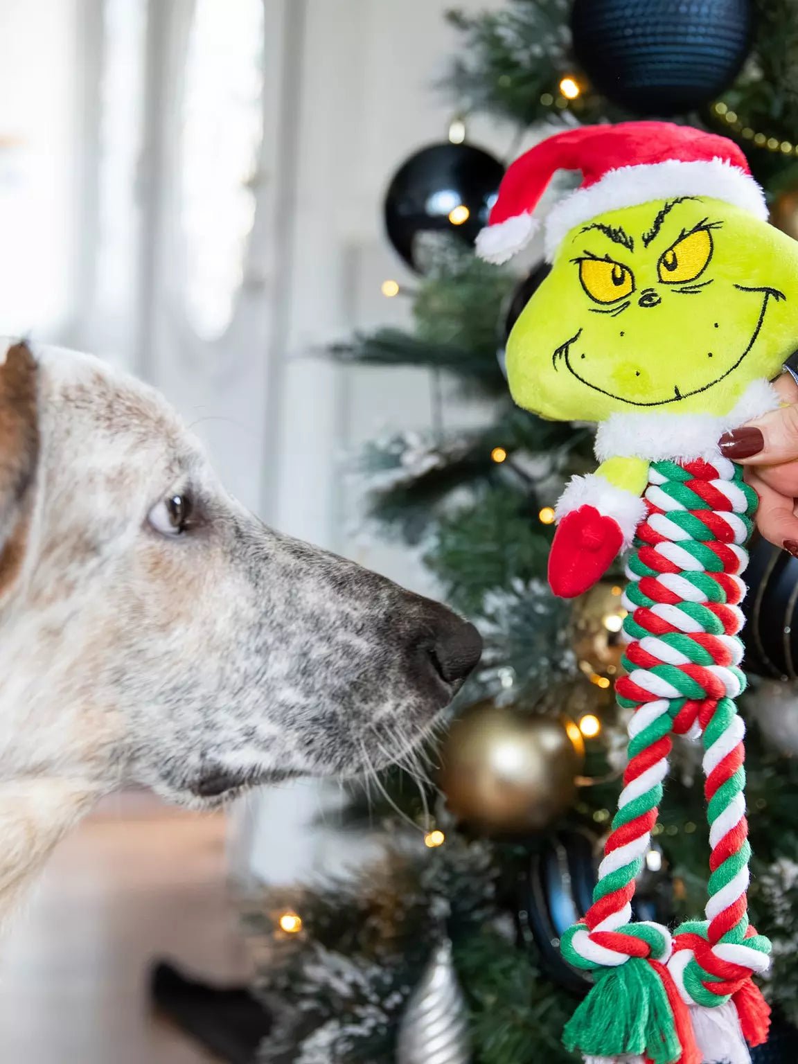 Grinch by Dr Seuss Christmas Rope Body Dog Toy - The Bark Side