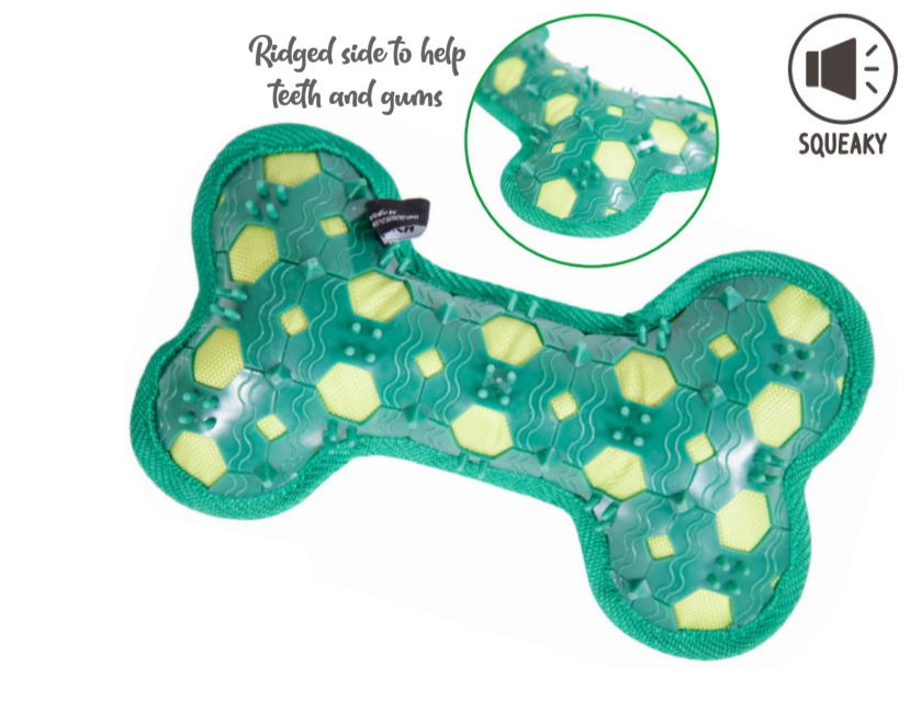Grinch by Dr Seuss Christmas Bone Dog Toy