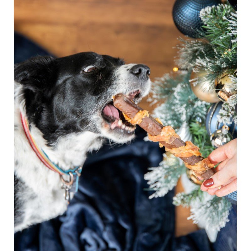 Jumbo Pig In Blanket Festive Dog Treat - The Bark Side