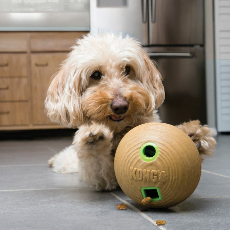 KONG Bamboo Feeder Ball - Medium - The Bark Side