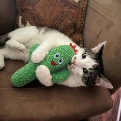 KONG Cat Kickeroo Cactus Cat Toy - The Bark Side