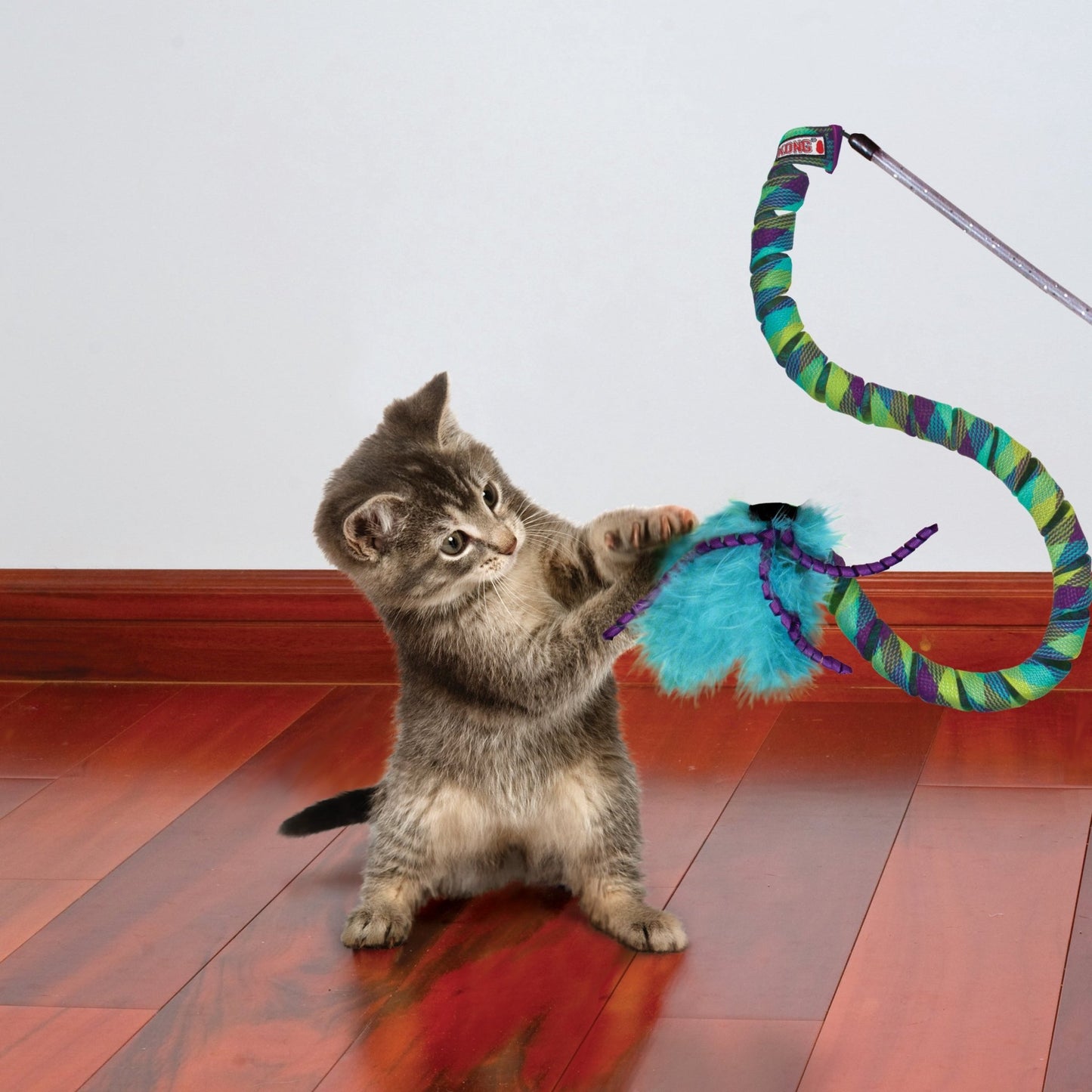 KONG Cat Teaser Curlz Cat Toy - The Bark Side