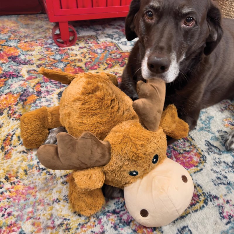 KONG Cozies Plush Dog Toy - The Bark Side