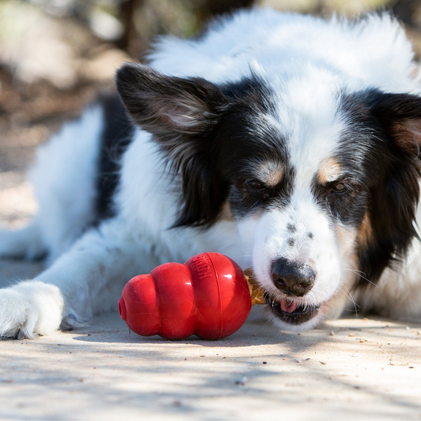 KONG Snacks For Adult Dogs - Liver - The Bark Side