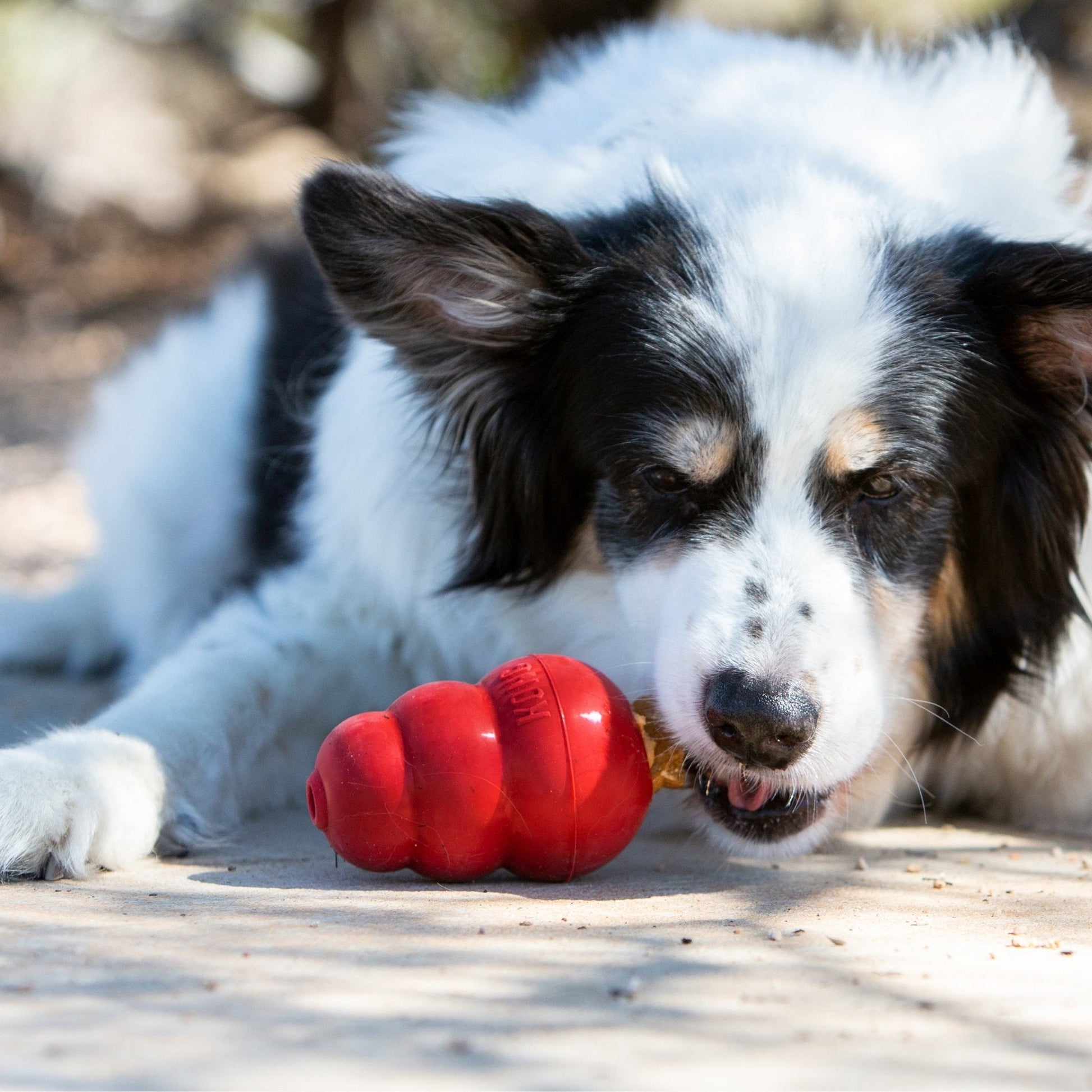 KONG Snacks For Adult Dogs - Liver - The Bark Side