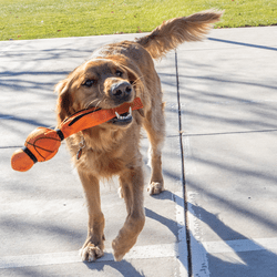 KONG Wubba Sport Basketball Dog Toy - The Bark Side