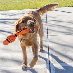 KONG Wubba Sport Basketball Dog Toy