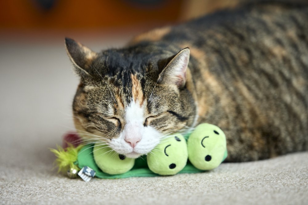 Peas In A Pod Plush Cat Toy by Petface