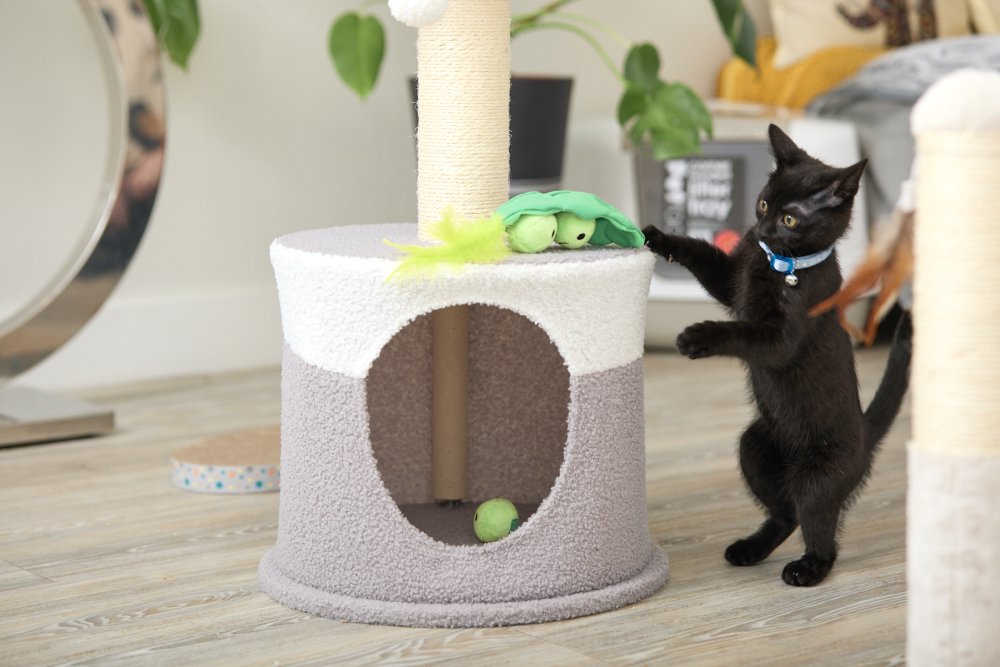 Peas In A Pod Plush Cat Toy by Petface