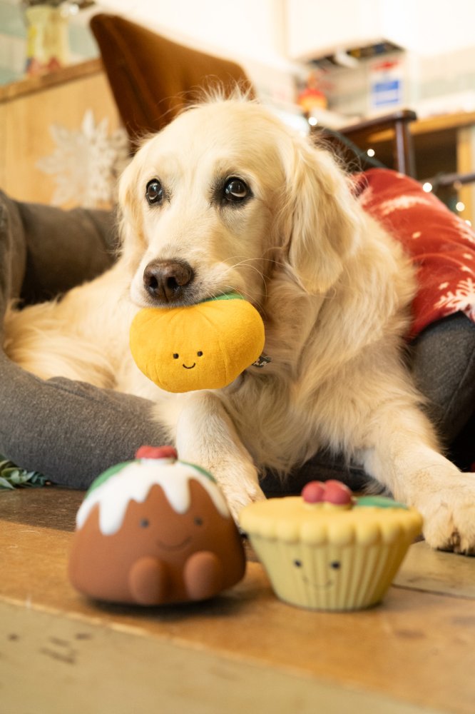 Christmas Plush Satsuma Dog Toy by Petface