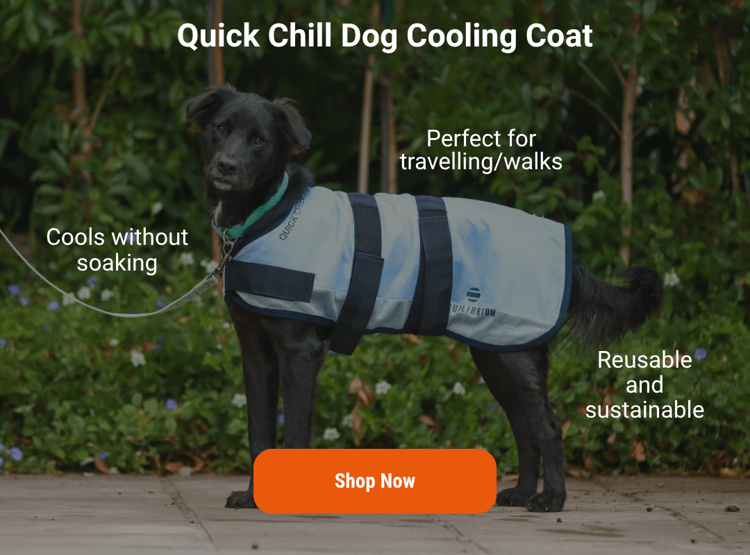 Quick Chill Cooling Coat for Dogs by Equilibrium - The Bark Side