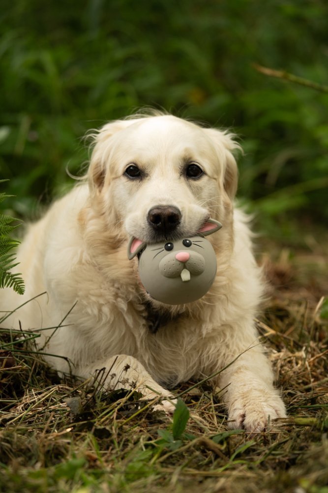 Rico Rabbit Latex Dog Toy by Petface - The Bark Side