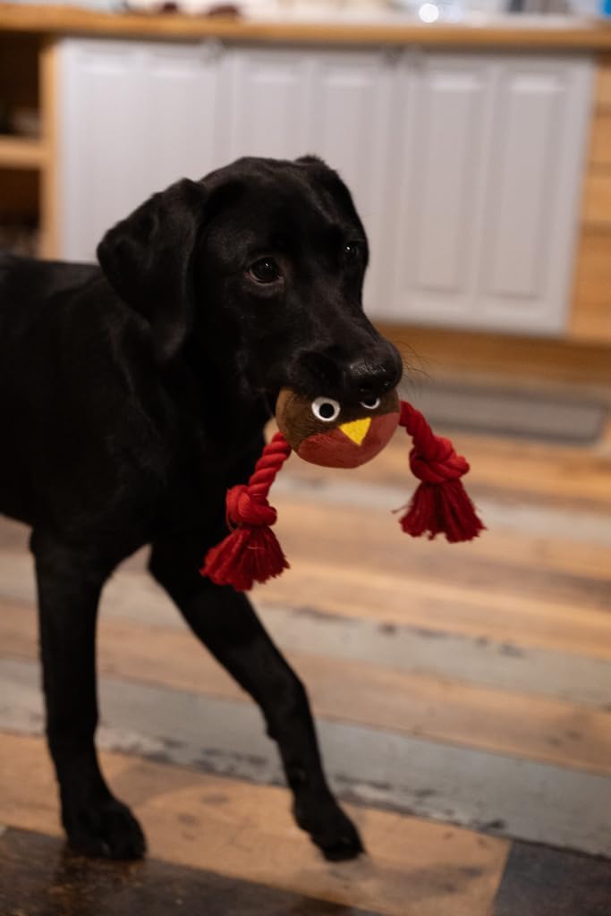 Ryan Robin With Rope Plush Christmas Dog Toy by Petface