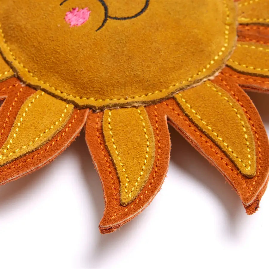 Sunny Ray Eco Toy for Dogs and Horses by Green & Wild’s